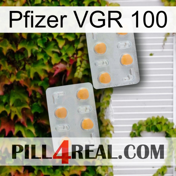 Pfizer Vgr 100 25.jpg